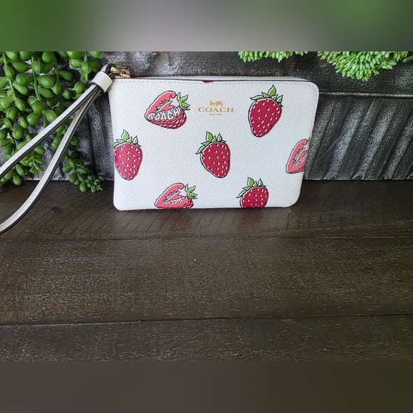 NWT Coach Teri Strawberry Print HOBO With Matching Wristlet And Unbranded Charm - Picture 14 of 16